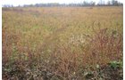 Property photo 43 - 80 Acres & Home - Property Offered in 4 Tracts from 2.3 to 30.0 Acres